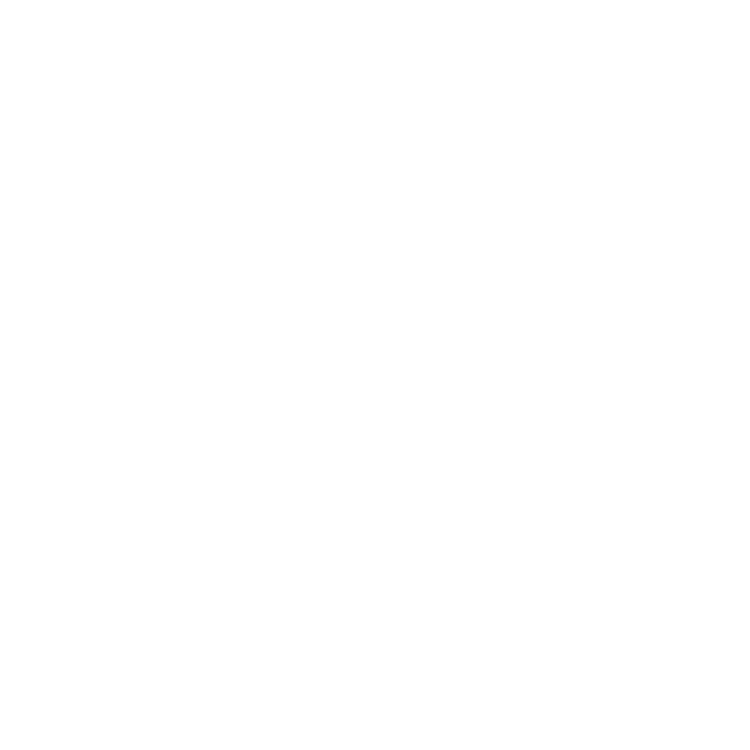 Skin Aesthetic Logo